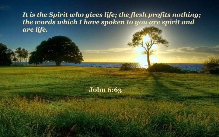RM-john-6-63-it-is-the-Spirit-who-gives-life-the-flesh-profits-nothing-the-words-which-I-have-spoken-to-you-are-spirit-and-are-life
